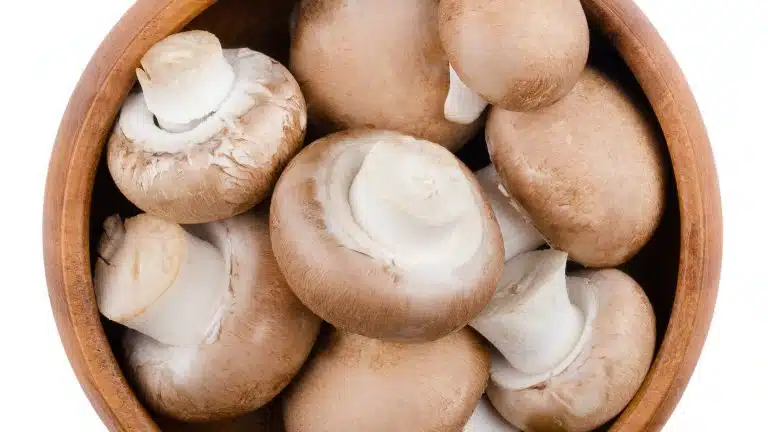 Brown champignons in a bowl over white